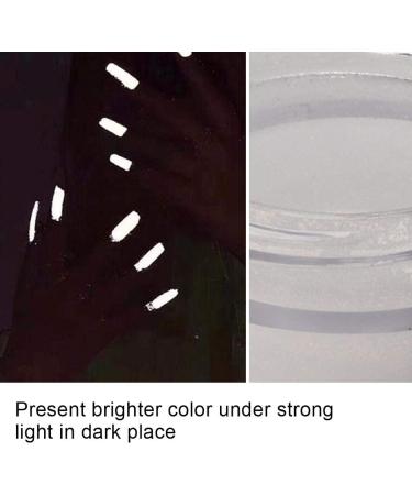 Agatige Glow in The Dark Pigment Powder Professional Nail Reflective Pigment Metallic Powders Decor for Nail Art Decoration Painting Crafts 20g(White) - Buy Online on GoSupps.com
