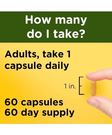 Nature-Made Turmeric Curcumin 500 mg Herbal Supplement for Antioxidant Support 60 Capsules 60 Day Supply + Bonus Pill Organizer Weekly Pill Organizer Mini - Buy Online on GoSupps.com