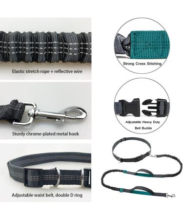 Hands Free Dog Leash Retractable Dog Leash Running with Dual Bungees for Medium and Large Dogs Adjustable Waist Belt Reflective Stitching Leash for Running Walking Hiking Jogging Biking (Green) - Buy Online on GoSupps.com