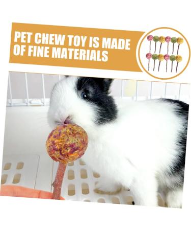 NOLITOY 12pcs Pet Rabbit Snacks Chinchilla Treats Teeth Grinding Sticks Pet Chewing Playthings Animal Petal - Buy Online on GoSupps.com