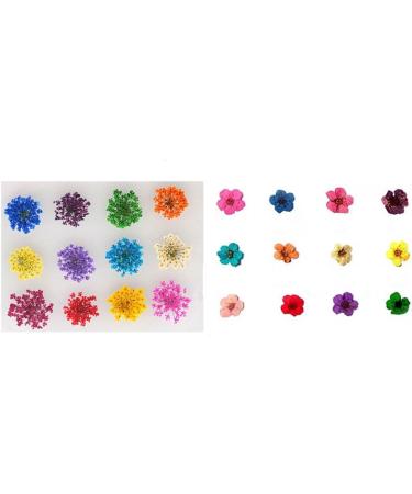  120 Pieces Transparent Dried Flower Bookmarks, Pressed