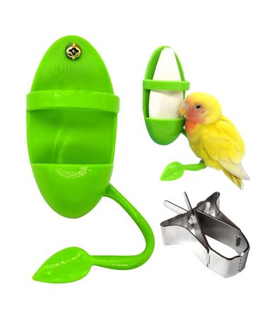 2Pcs Bird Parrot Cuttlebone Holder Set with Perch Stand Universal Bird Feeding Racks Cuttlefish Bone with Holder for Bird Food Supplies Vegetable Fruit Container green