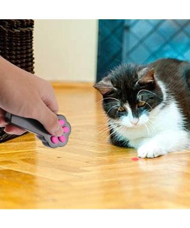 Anjing Paw Style Dog Cat Catch The Interactive Toy Exercise Chaser Toy Pet Scratching Training Tool 3 Pack - Buy Online on GoSupps.com