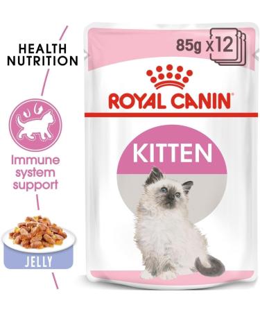 Royal Canin Kitten in JELLY Wet Adult Cat Food (24 x 85g) - Buy Online on GoSupps.com