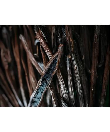  BIORO BIORO Madagascar Bourbon Vanilla 6 Whole Beans 14 16 cm Intense Natural Aroma Ideal for Desserts Ice Cream etc. - Buy Online on GoSupps.com