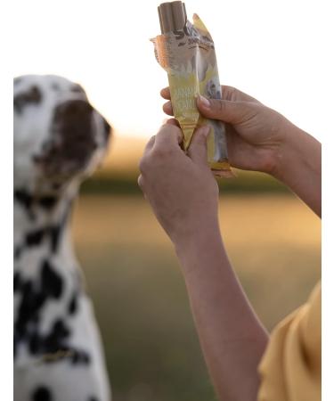 Soopa Banana & Peanut Butter Jumbo Sticks 170gm 1 count (Pack of 1) - Buy Online on GoSupps.com