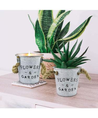 2 Pack Citronella Candles | 13.5 Oz Natural Soy Outdoor Candles | Long Lasting 50 Hours | Fresh Citronella Oil Scent | for Garden, Backyard, Patio, Camping - Buy Online on GoSupps.com