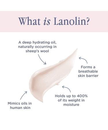 Lanolips 101 Ointment Superbalm Duo - Multipurpose Natural Healing Moisturizer for Lips, Skin, and Cuticles - Fragrance-Free - 2x15g - Buy Online on GoSupps.com