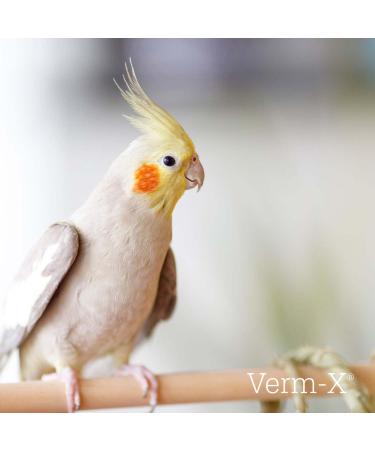 Verm-X Original All Natural Pellets for Caged Birds. SupportsIntestinal Hygiene. Vet Approved.Restores and Maintains Gut Vitality. Wormwood Free Recipe. clear - Buy Online on GoSupps.com
