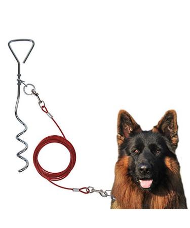 Timtina spiral peg dog peg dog anchor including dog leash