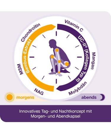  Dr. Loges flexiLoges Active Cartilage 240 capsules Coordinated nutritional concept for healthy joint function - Buy Online on GoSupps.com