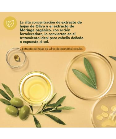  Herbatint Herbatint Repair and Strengthening Shampoo 260 ml | Organic Shampoo for Stressed and Damaged Hair | 98% Natural Ingredients with Olive Moringa Aloe Vera and Betaine  - Buy Online on GoSupps.com