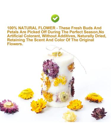 Buy Colorful Bracteantha Bractata Flower 30g | Anti-Fatigue Slimming Tea for Beauty & Liver Care - Buy Online on GoSupps.com