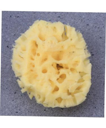 FRCOLOR Bath Sponge Shower Sponge Honeycomb Seaweed Baby - Buy Online on GoSupps.com