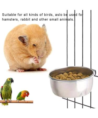 3 Pieces Bird Feeding Dish Cups Stainless Steel Parrot Feeding Cups Animal Cage Water Food Bowl Bird Cage Cups Holder with Clamp Holder for Bird Parrot Small Animal - Buy Online on GoSupps.com