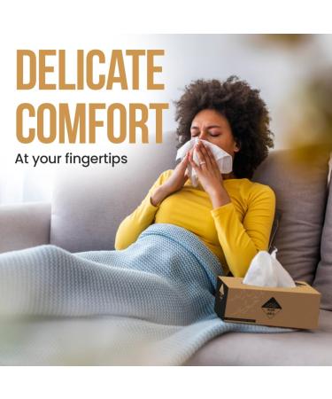 Nice Touch Facial Tissue Black & Gold Box - 5 Packs of 200 Sheets - Contains 1000 Premium 2 Ply Tissues - Buy Online on GoSupps.com