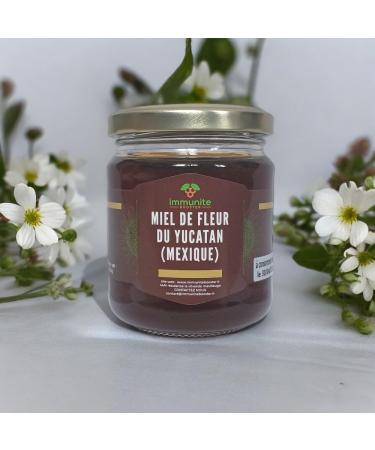 Yucatan Flower Honey from Mexico - 250g net weight - Immunity BOOSTER - Buy Online on GoSupps.com