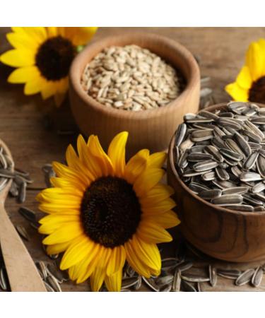 Buy Meray Dakota Unsalted Sunflower Seeds 250g - Pack of 8 | Premium Quality International Shipping - Buy Online on GoSupps.com