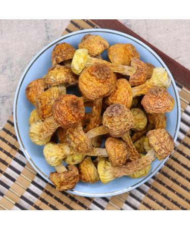 Zercumm Yunnan Agaricus Blazei 500G (17.6Oz) Dry Goods Brazil Mushroom Edible Fungus Mushroom Bulk Tricholoma Matsutake - Buy Online on GoSupps.com