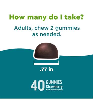 Nature Made Wellblends Stress Relief Gummies - Strawberry Flavor (40 Count) - Buy Online on GoSupps.com