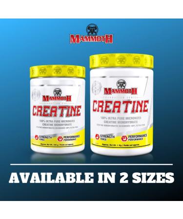 MAMMOTH MASS: Weight Gainer High Calorie Protein Powder Workout Smoothie Shake Meal Replacement & Creatine 300gm SUPPLEMENT + SUPPLEMENT 15331 6.8 kg (Pack of 1) - Buy Online on GoSupps.com