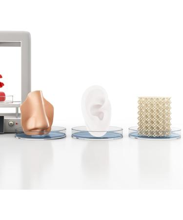 High-Quality Silicone Ear Mold for Piercing Practice - Realistic Fake Ear Model | International Shipping Available - Buy Online on GoSupps.com