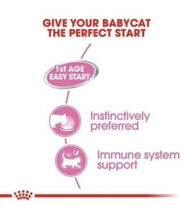 ROYAL CANIN First Age Mousse Mother & Baby Cat Wet Cat Food - 12 x 195g - Buy Online on GoSupps.com