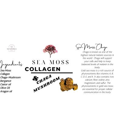 Sea Moss Collagen Hair & Skin Oil with Chaga Melanin Mushroom - Nourish & Revitalize for All Skin Types | International Shipping Available - Buy Online on GoSupps.com