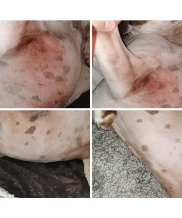 Anicura Dog Spray - Natural Relief for Itchy Skin & Allergies | Instant & Long-Term Results - Buy Online on GoSupps.com