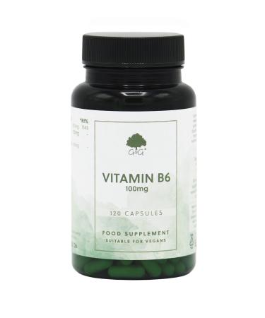 Vitamin B6 Pyridoxine HCl Capsules | 100mg Vitamin B6 per Capsule | 120 Vegan Capsules | G&G Vitamins