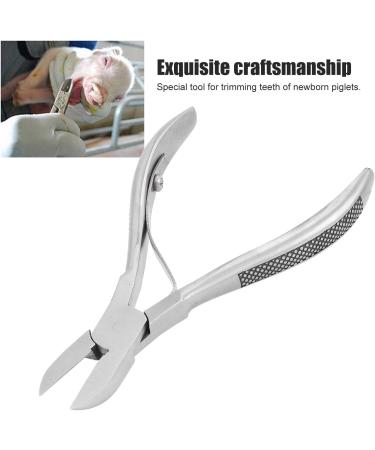 Pwshymi Stainless Steel Dental Forceps for Piglets - Comfortable Easy to Clean Dental Scissors for Newborn Teeth Trimming - Buy Online on GoSupps.com
