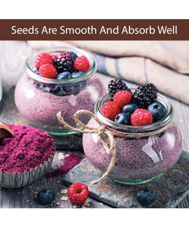 Roots Circle Non-GMO Chia Seeds - Raw Superfood for Vegan & Keto Diets - Omega 3 & Protein Boost for Salad, Smoothie, Oatmeal - 21oz Airtight Jar - Buy Online on GoSupps.com