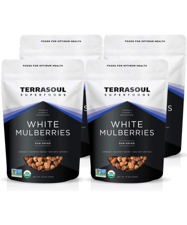 Terrasoul Superfoods Organic Sun-dried White Mulberries, 4 Lbs (4 Pack) - Low Glycemic | Naturally Sweet | Rich in Vitamin C