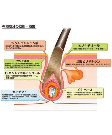 CHIMNEY MOTORCYCLE Hair Growth Treatment for Women | KAMINOMOTO No Fragrance 150ml | Japan Import - Best for Healthy Hair - Buy Online on GoSupps.com