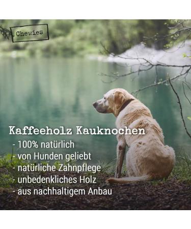 Chewies Coffee Wood Caustab for Dogs - 100% Natural Chewing Bones & Durable Dog Toys - Size S (Up to 12 kg) - Eco-Friendly Accessories - Buy Online on GoSupps.com