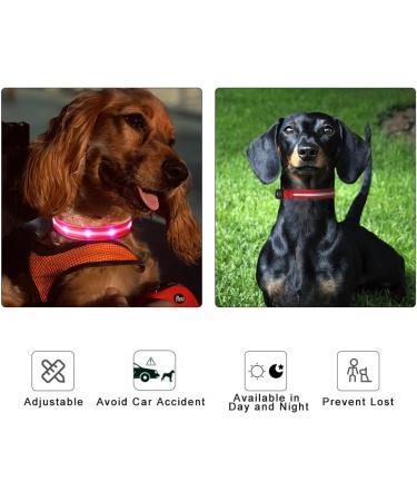 Buy Masbrill Luminous LED Dog Collar - Waterproof Adjustable 3 Flashing Lights for Small Medium & Large Dogs (Red 48-60cm) - Buy Online on GoSupps.com