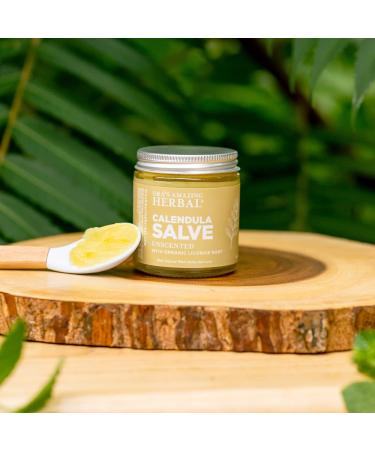 Calendula Salve Calendula Cream Drawing Salve Calendula Ointment Ora's Amazing Herbal Coconut Free Salve made with Organic Calendula and Licorice Root 1 oz 1 Ounce (Pack of 1) - Buy Online on GoSupps.com
