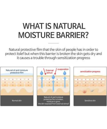 Hydrating Bamboo Extract Ã¢â¬â THE PLANT BASE Nature Solution 5.64oz | 86.85% Water Infused - Buy Online on GoSupps.com