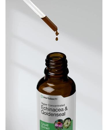 Echinacea Goldenseal Liquid Extract - 2 fl oz Alcohol Free Tincture | Vegetarian, Non-GMO, Gluten Free | Horbaach - Buy Online on GoSupps.com