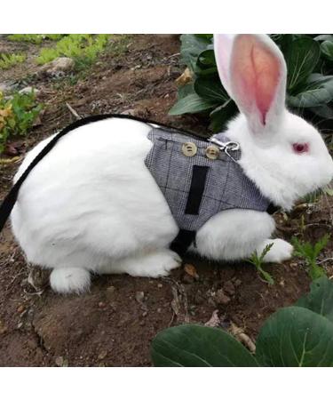 Tnfeeon Soft Breathable Rabbit Harness with Leash Rabbit Pet Small Animal Walking Harness Vest Leash (M) - Buy Online on GoSupps.com