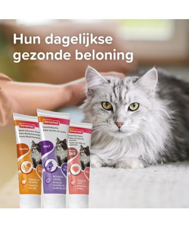 BEAPHAR Salmon oil paste for cats special coat beauty Complementary food Promotes coat shine Maintains the proper functioning of the cardiac system 100 g tube - Buy Online on GoSupps.com
