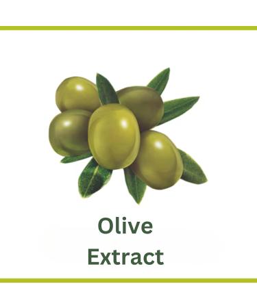  Treseida Palmolive Naturals Olive Milk Moisturizing Soap Bars Vegan Soap Natural Origin Biodegradable Body Hand & Face Soap with Thank You Card (12 Pack) Treseida - Buy Online on GoSupps.com