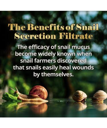 EUNYUL Snail Ampoule Korean Skincare 1.01 fl. oz. Hydrating Essence Serum for Face - Buy Online on GoSupps.com