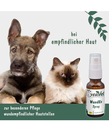 VeaVet WundEx Spray for Dogs & Cats - 100ml | Fast Healing & Skin Care | International Shipping - Buy Online on GoSupps.com