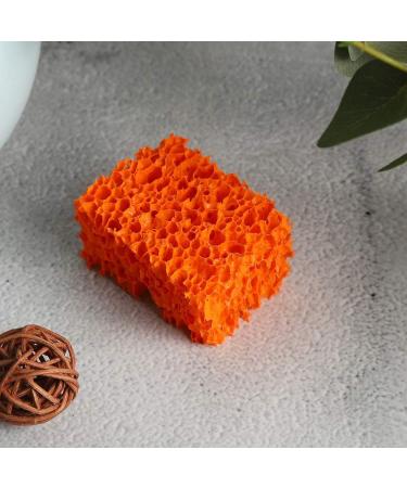 BstXqty Wound Makeup Stipple Sponge Blood Scar Stubble Effect for Halloween Party Stipple Sponge Professional Special for Halloween Beard Freckle Stubble(L) - Buy Online on GoSupps.com