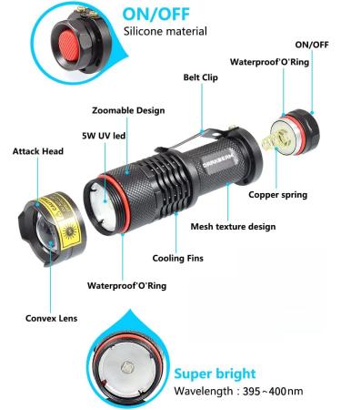 Darkbeam UV Flashlight 395nm - Portable Black Light Detector for Pet Stains & Dog Urine | Mini LED Flashlight | 1 Pack - Buy Online on GoSupps.com