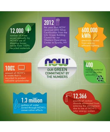 Now Choline & Inositol 180 Veg Capsules - Supports Brain Health & Mood - Vegan & Non-GMO - Buy Online on GoSupps.com