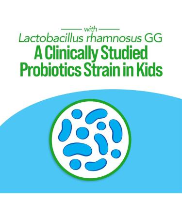 Culturelle Kids Probiotic + Complete Multivitamin Chewable For Kids Ages 3+ 30 Count Digestive Health Oral Health & Immune Support - With 11 Vitamins & Minerals including Vitamin C D3 & Zinc 30 Count (Pack of 1) - Buy Online on GoSupps.com