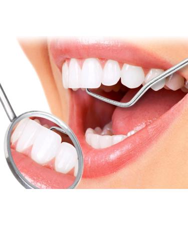 Stainless Steel Toothpick Set - Reusable Portable Metal Dental Picks for Travel Camping & Picnics (7 PCS - Buy Online on GoSupps.com