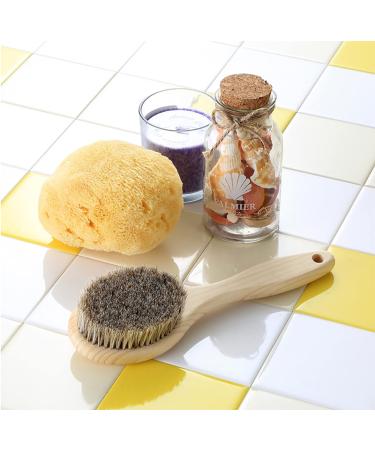 9 Short Handle Body Brush - Japanese Hinoki Wooden Handle - Horse Hair - Buy Online on GoSupps.com